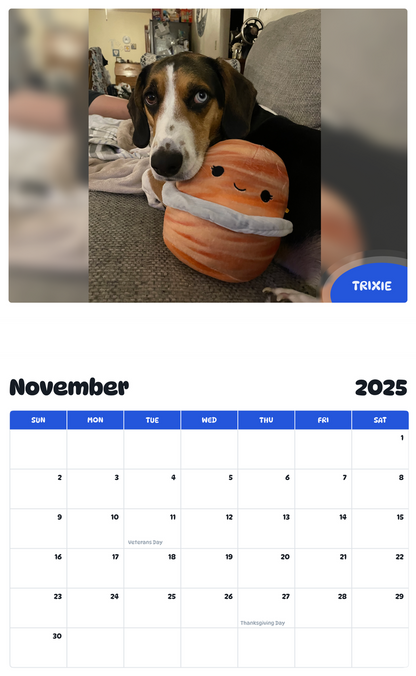 July 2025 - June 2026 Trixie - Pawidols Pet Calendar