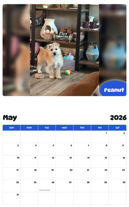 2026 - 2027 Peanut - Pawidols Pet Calendar
