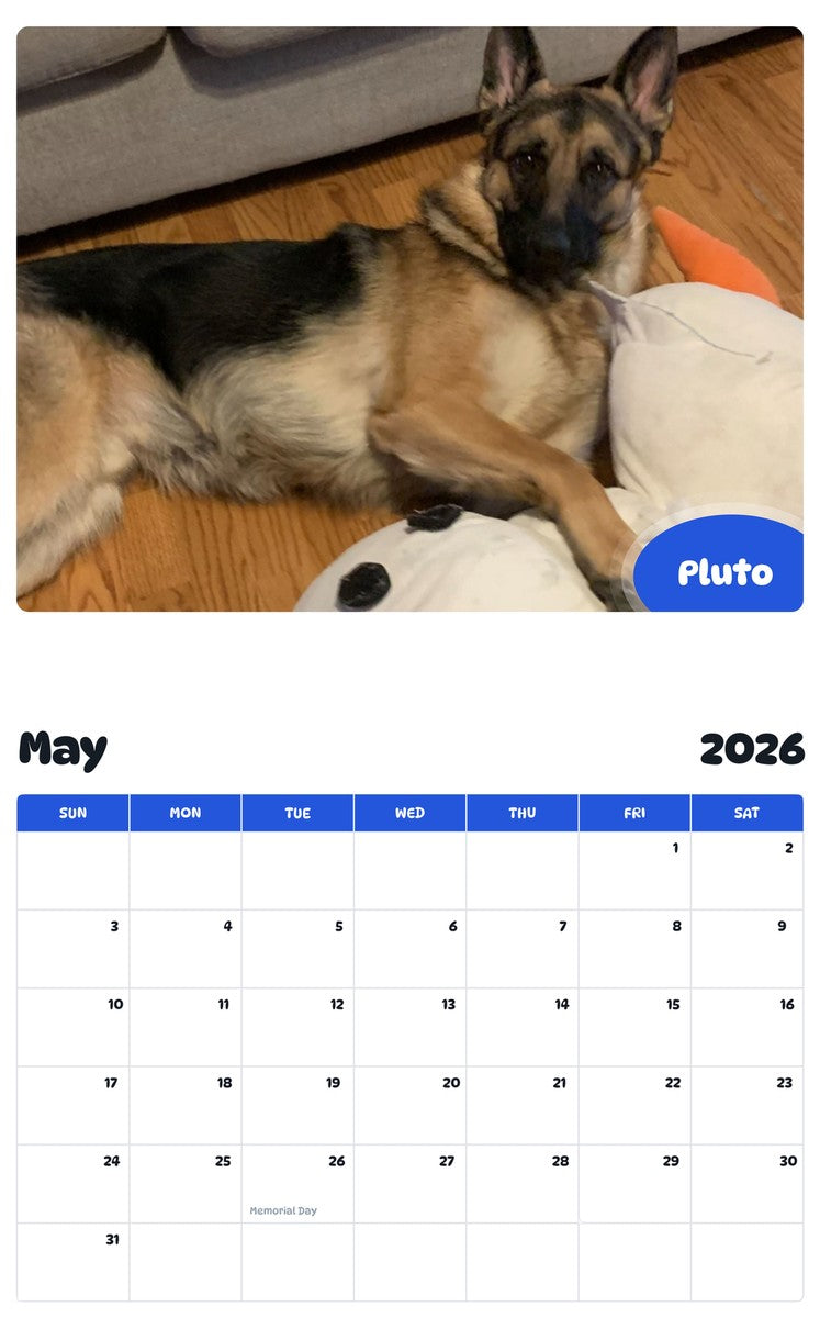 2026 - 2027 Pluto - Pawidols Pet Calendar