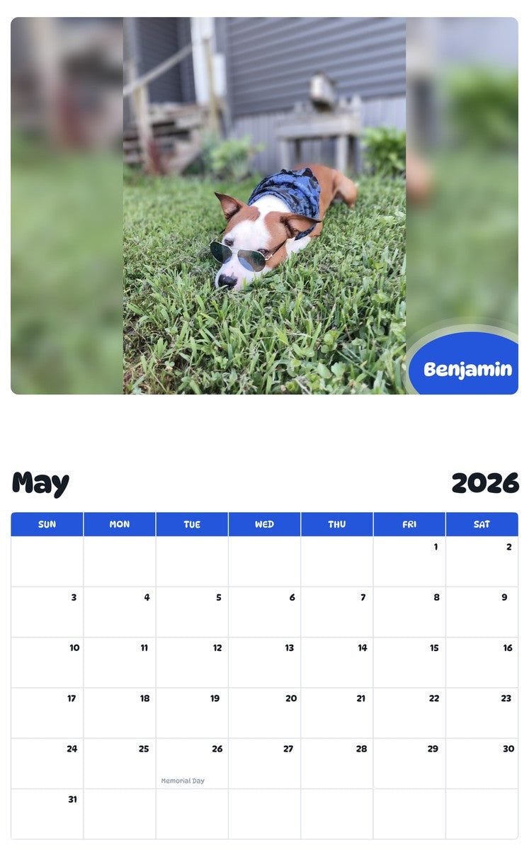 2026 - 2027 Benjamin - Pawidols Pet Calendar