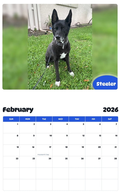 October 2025 - September 2026 Steeler - Pawidols Pet Calendar
