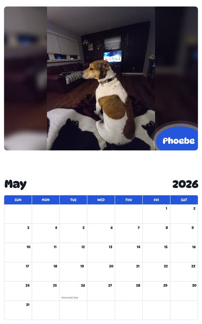 2026 - 2027 Phoebe - Pawidols Pet Calendar