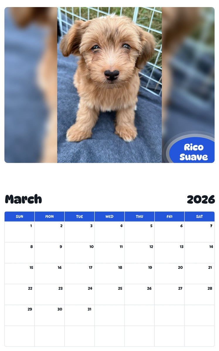 November 2025 - October 2026 Rico Suave - Pawidols Pet Calendar