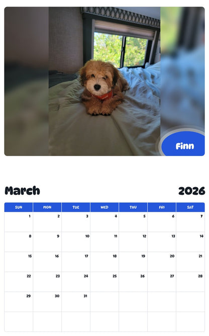 November 2025 - October 2026 Finn - Pawidols Pet Calendar