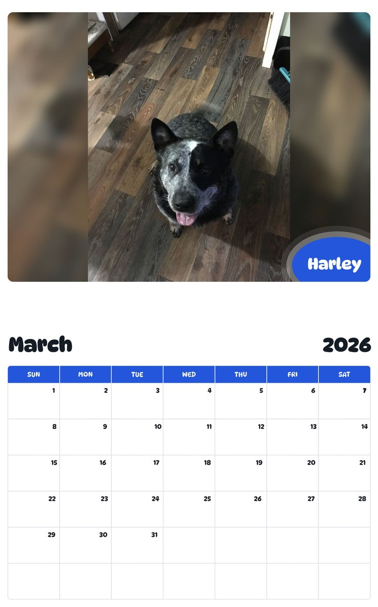 November 2025 - October 2026 Harley - Pawidols Pet Calendar