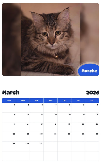 November 2025 - October 2026 Murche - Pawidols Pet Calendar