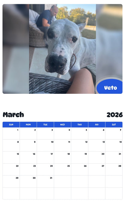 November 2025 - October 2026 Veto - Pawidols Pet Calendar