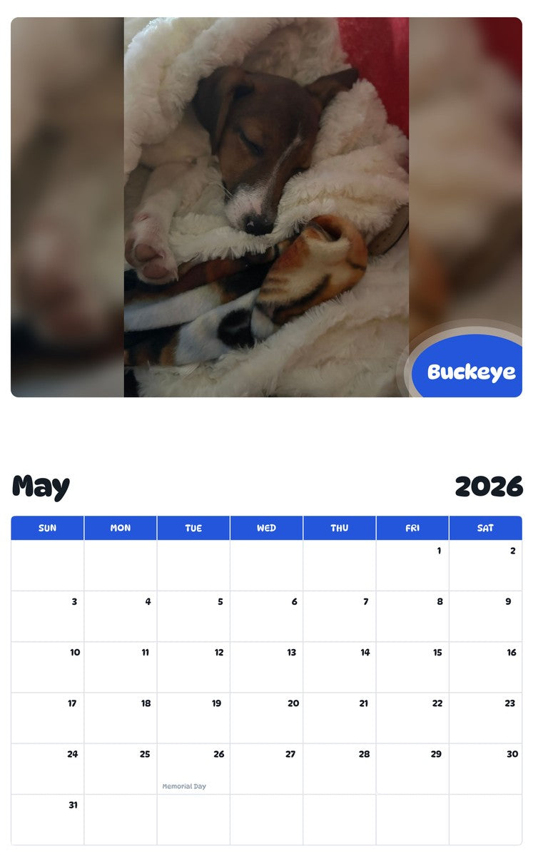 2026 - 2027 Buckeye - Pawidols Pet Calendar