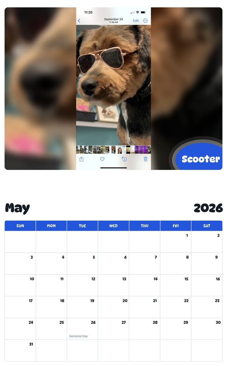 2026 - 2027 Scooter - Pawidols Pet Calendar