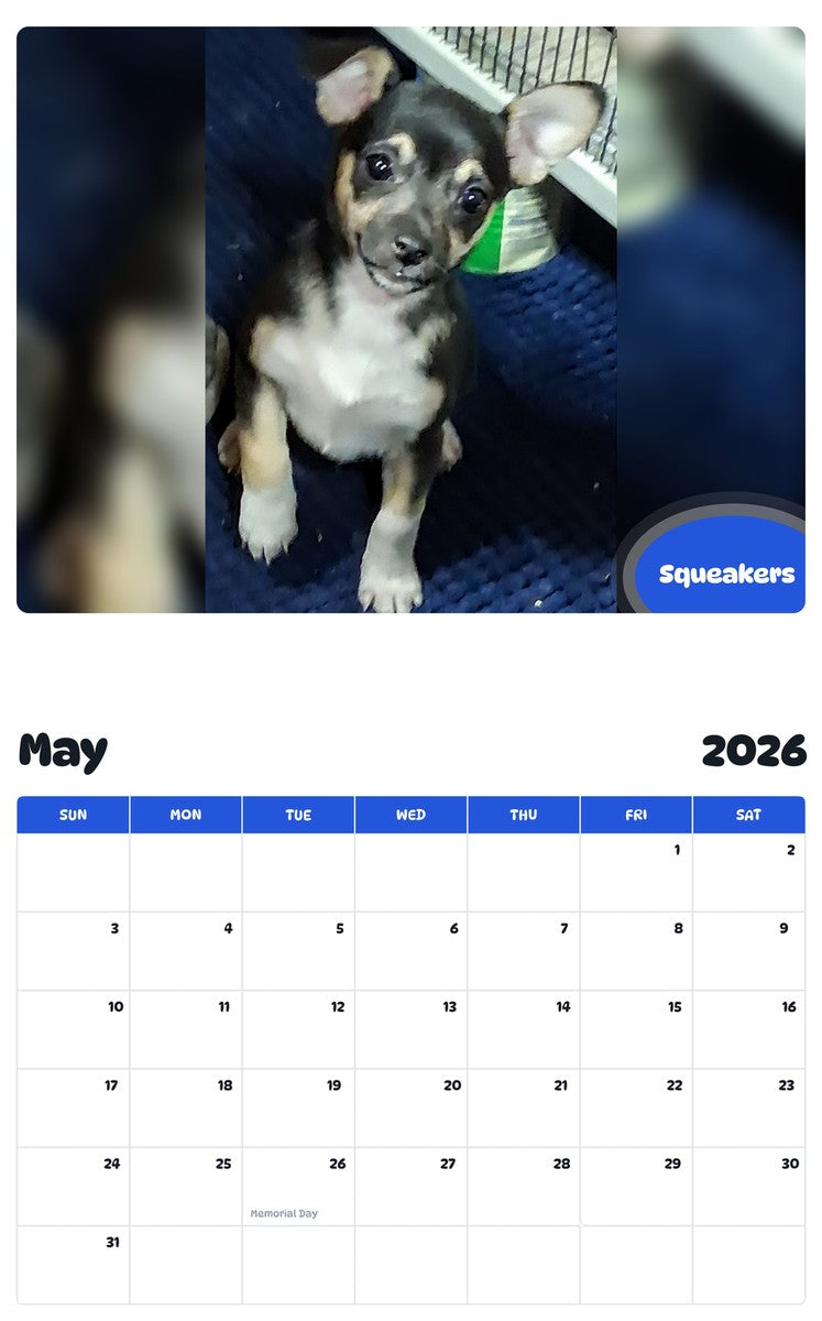 2026 - 2027 Squeakers - Pawidols Pet Calendar