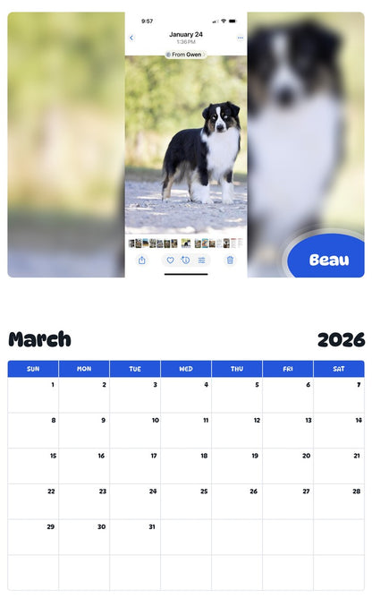 November 2025 - October 2026 Beau - Pawidols Pet Calendar