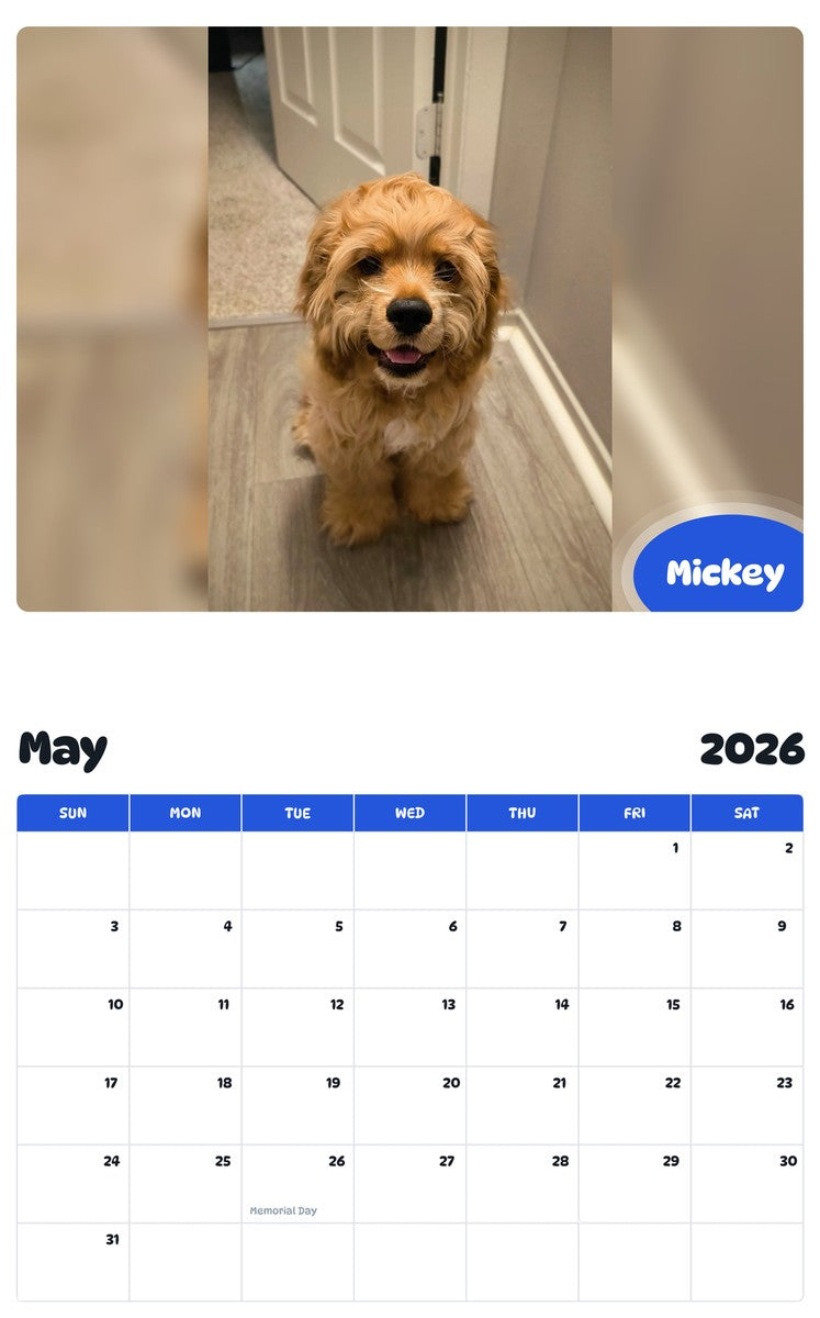 2026 - 2027 Mickey - Pawidols Pet Calendar