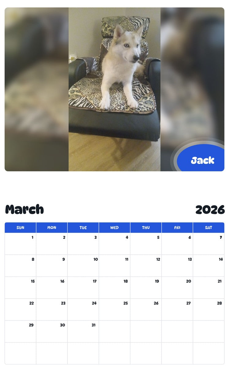 November 2025 - October 2026 Jack - Pawidols Pet Calendar
