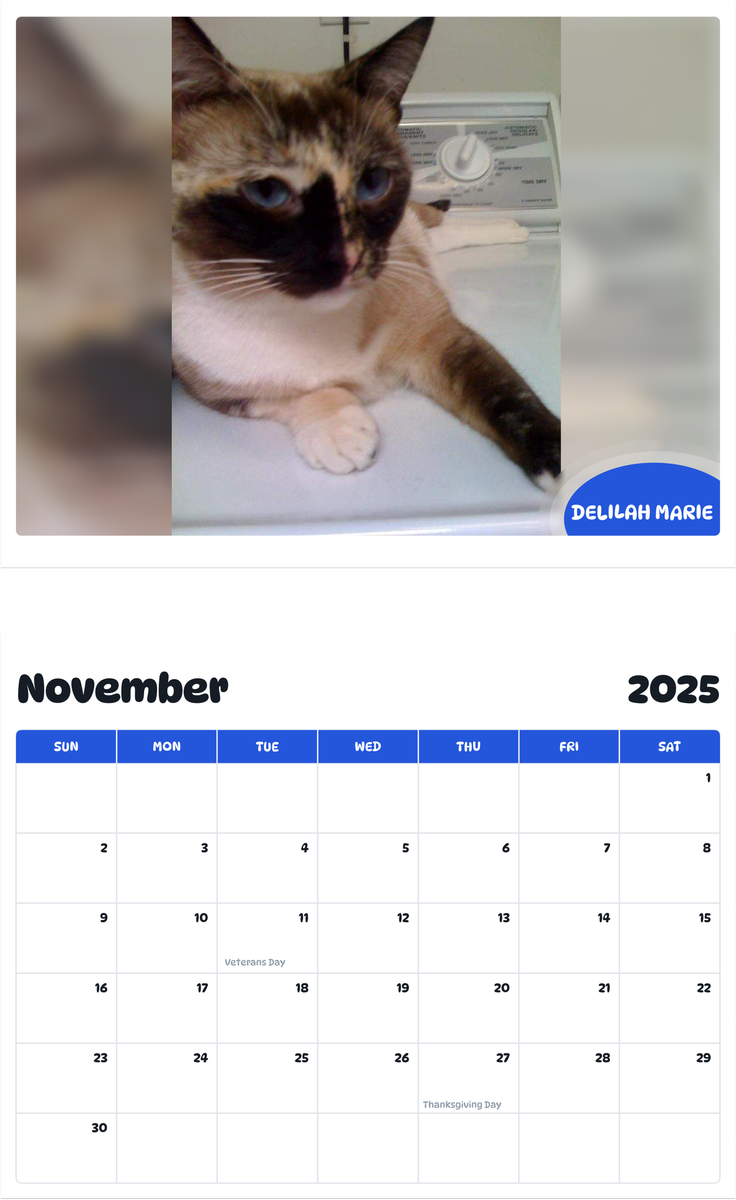 July 2025 - June 2026 Delilah Marie - Pawidols Pet Calendar