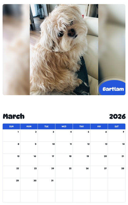 November 2025 - October 2026 Bartlam - Pawidols Pet Calendar