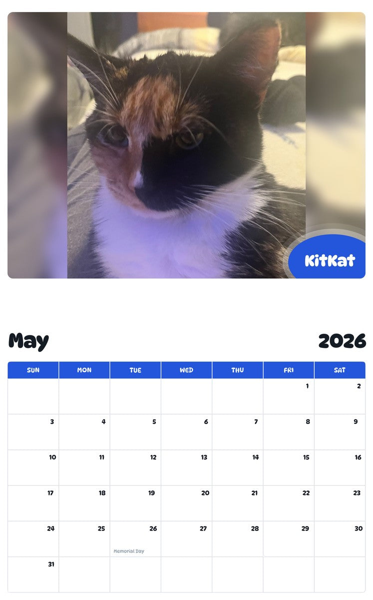 2026 - 2027 KitKat - Pawidols Pet Calendar