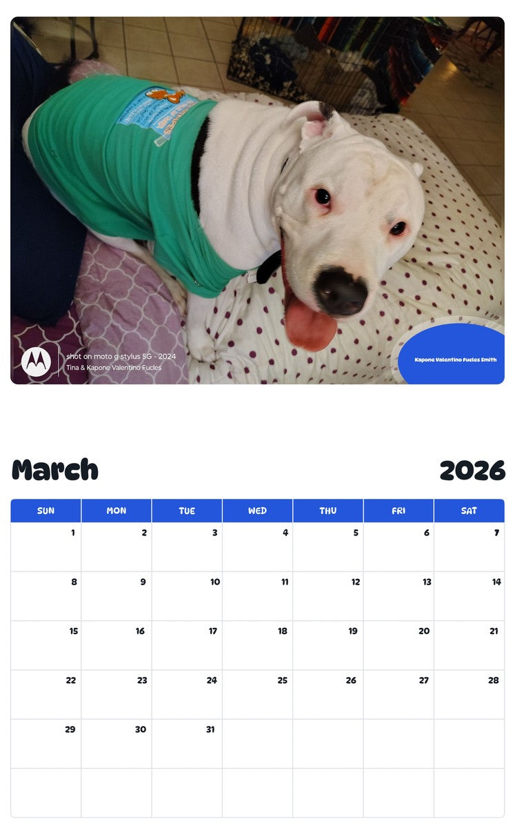 November 2025 - October 2026 Kapone Valentino Fucles Smith - Pawidols Pet Calendar