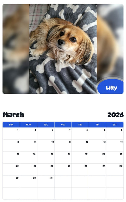 November 2025 - October 2026 Lilly - Pawidols Pet Calendar