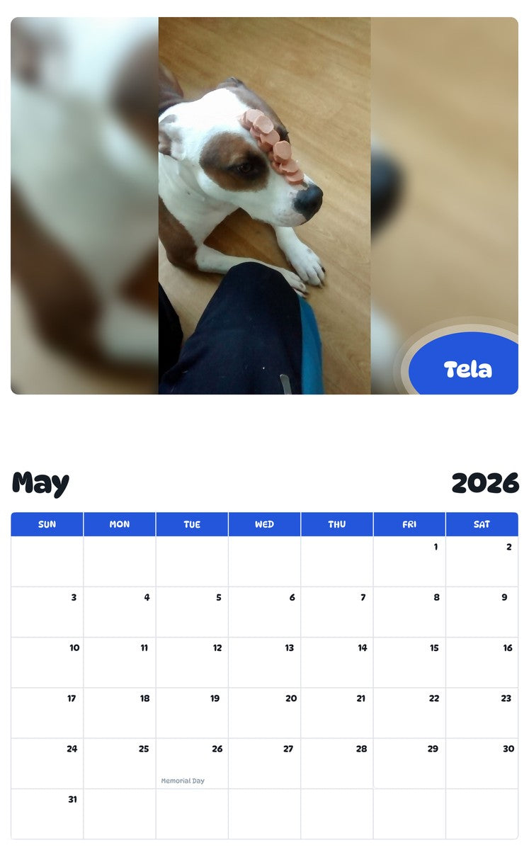 2026 - 2027 Tela - Pawidols Pet Calendar