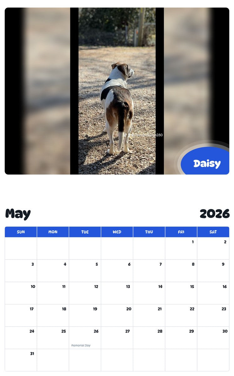 2026 - 2027 Daisy - Pawidols Pet Calendar