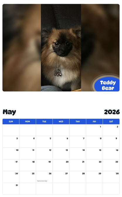2026 - 2027 Teddy Bear - Pawidols Pet Calendar