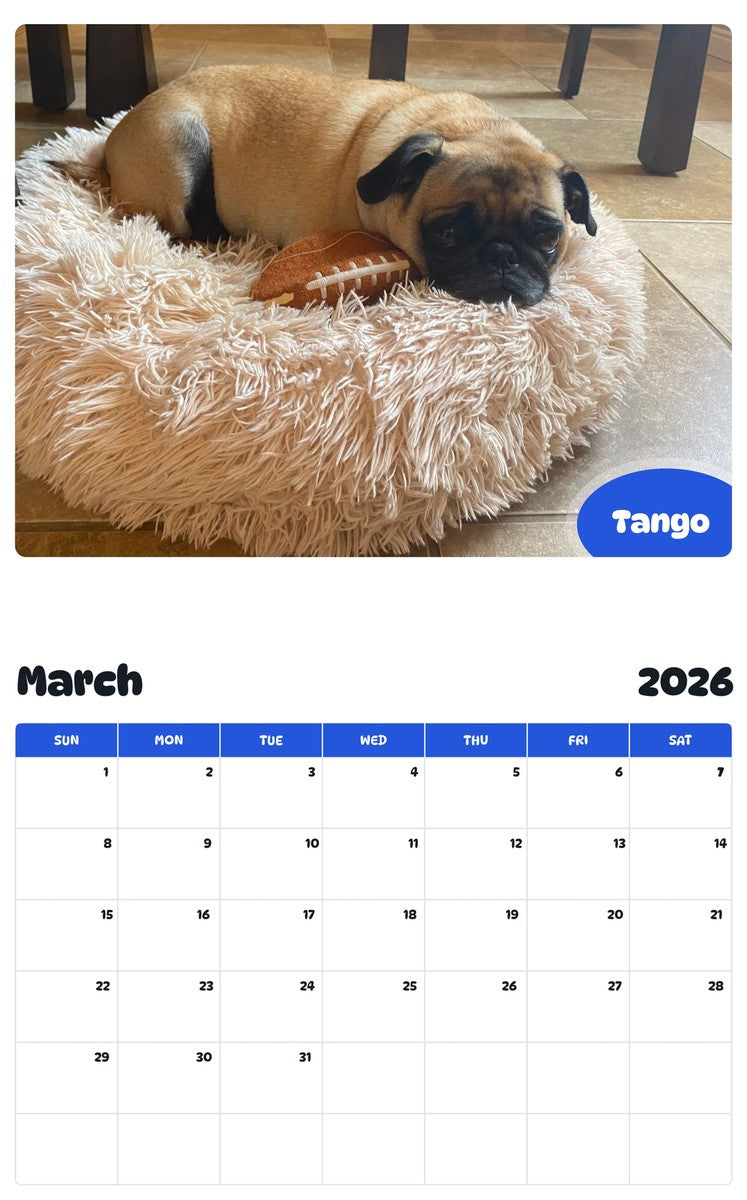 November 2025 - October 2026 Tango - Pawidols Pet Calendar