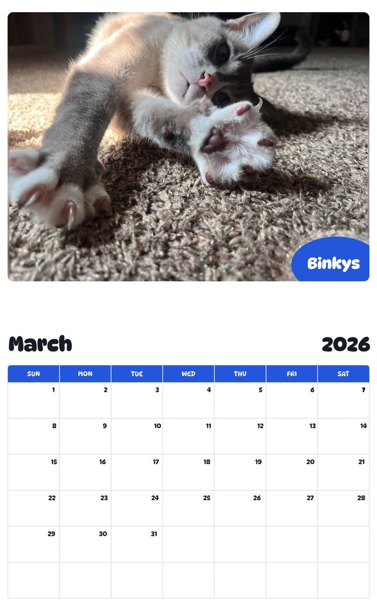 November 2025 - October 2026 Binkys - Pawidols Pet Calendar