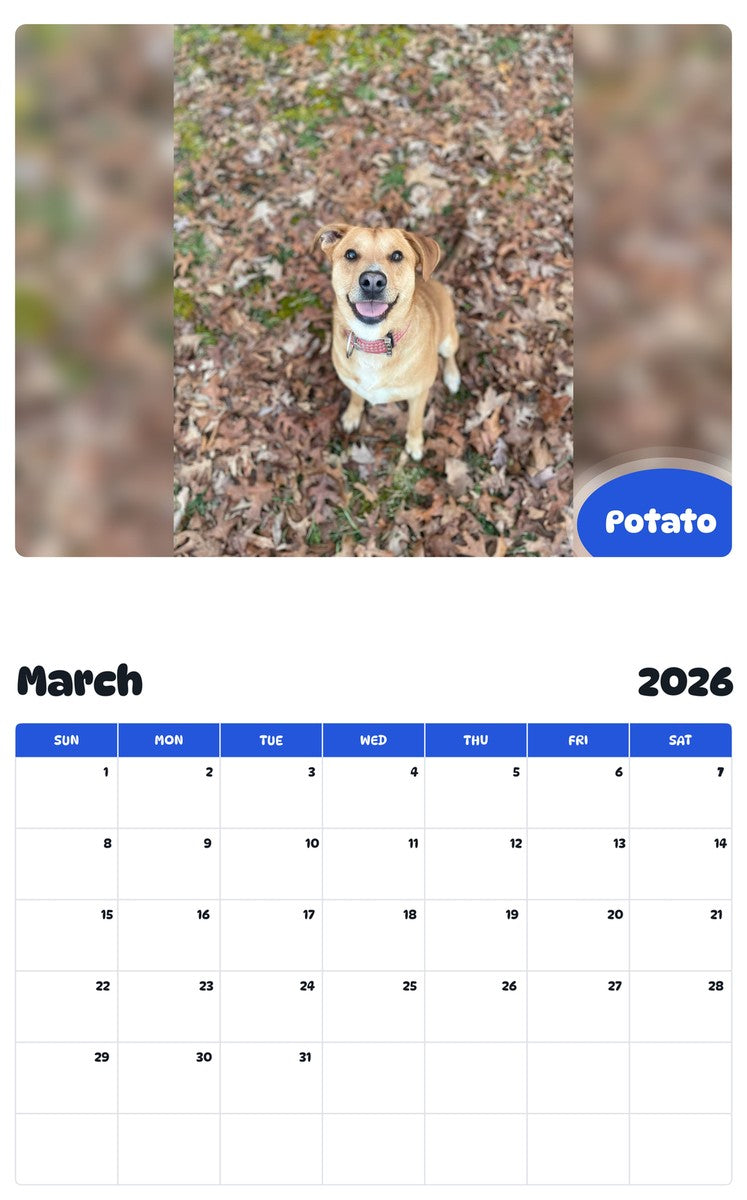 November 2025 - October 2026 Potato - Pawidols Pet Calendar