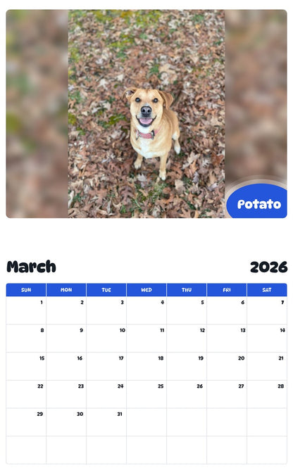 November 2025 - October 2026 Potato - Pawidols Pet Calendar