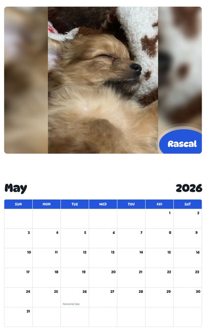 2026 - 2027 Rascal - Pawidols Pet Calendar