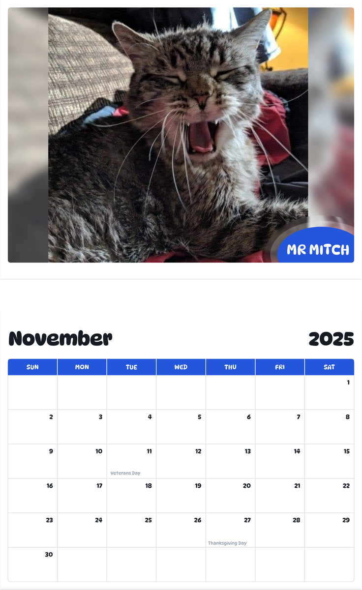 July 2025 - June 2026 Mr Mitch - Pawidols Pet Calendar