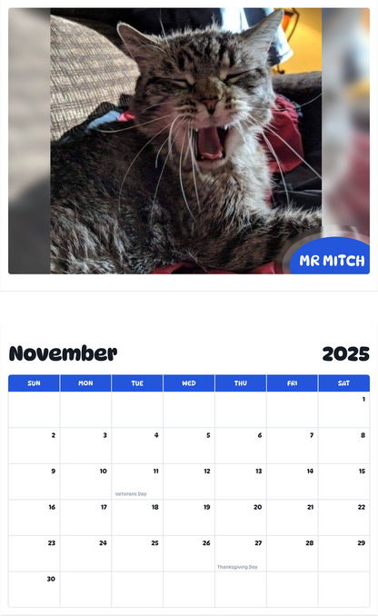 July 2025 - June 2026 Mr Mitch - Pawidols Pet Calendar