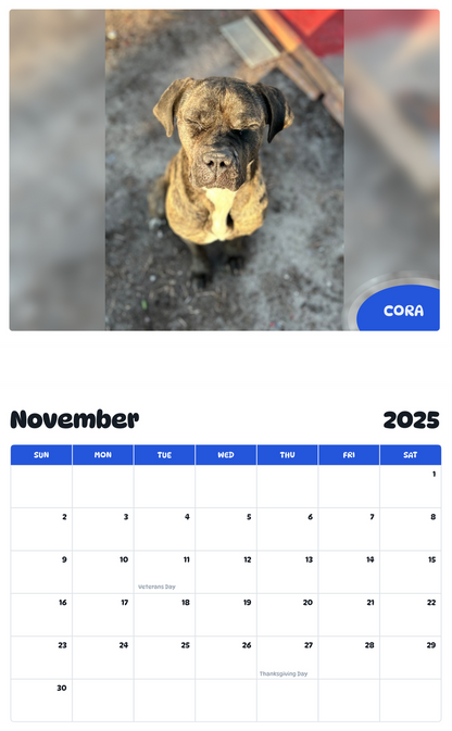 July 2025 - June 2026 Cora - Pawidols Pet Calendar
