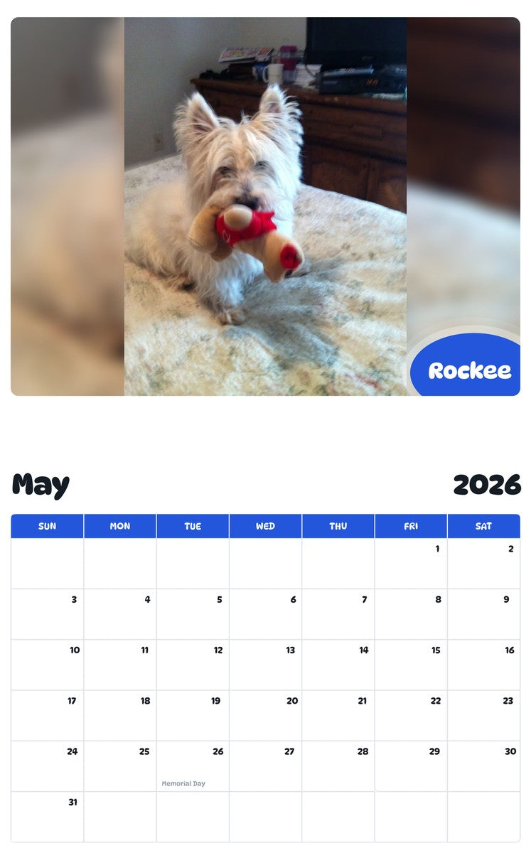 2026 - 2027 Rockee - Pawidols Pet Calendar