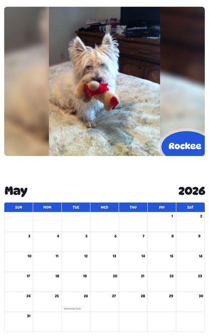 2026 - 2027 Rockee - Pawidols Pet Calendar