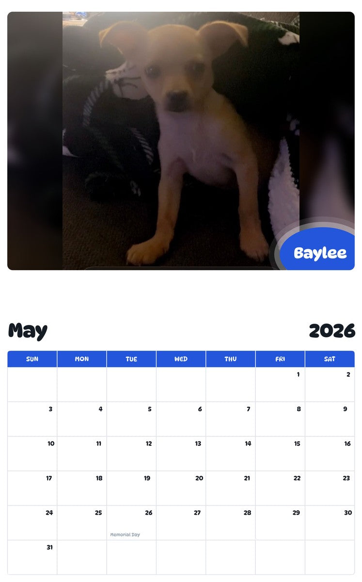 2026 - 2027 Baylee - Pawidols Pet Calendar