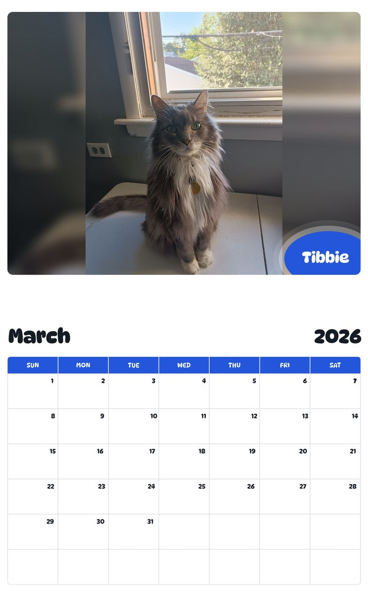 November 2025 - October 2026 Tibbie - Pawidols Pet Calendar