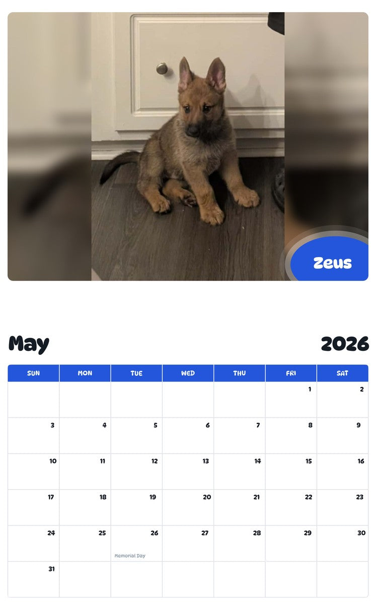 2026 - 2027 Zeus - Pawidols Pet Calendar