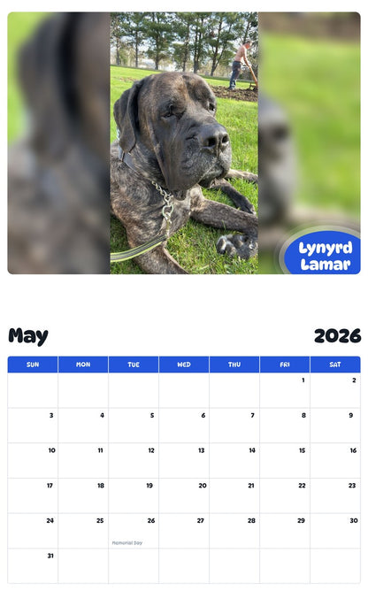 2026 - 2027 Lynyrd Lamar - Pawidols Pet Calendar