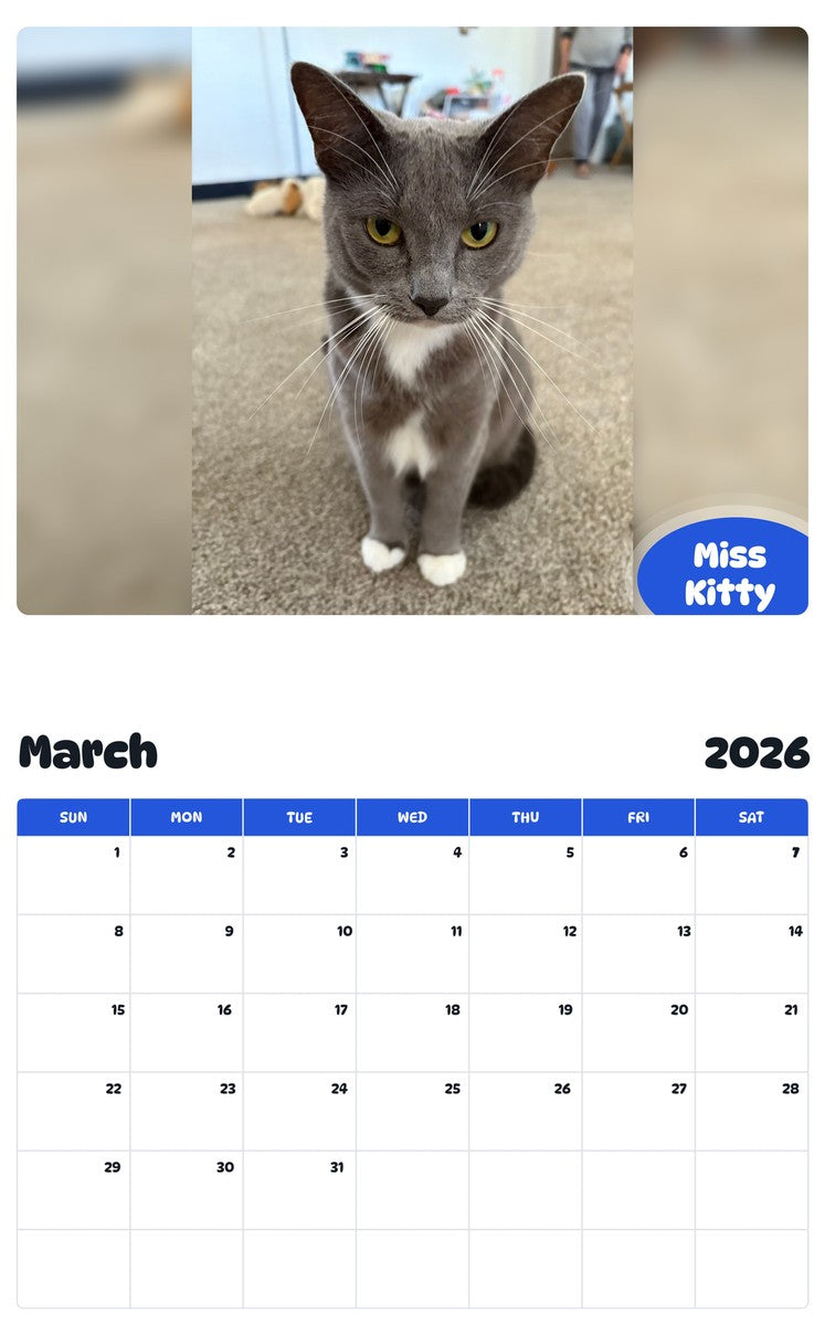 November 2025 - October 2026 Miss Kitty - Pawidols Pet Calendar