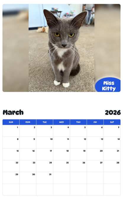 November 2025 - October 2026 Miss Kitty - Pawidols Pet Calendar