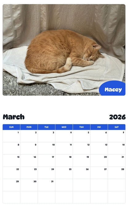 November 2025 - October 2026 Macey - Pawidols Pet Calendar