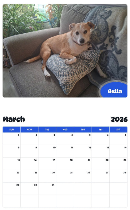 November 2025 - October 2026 Bella - Pawidols Pet Calendar