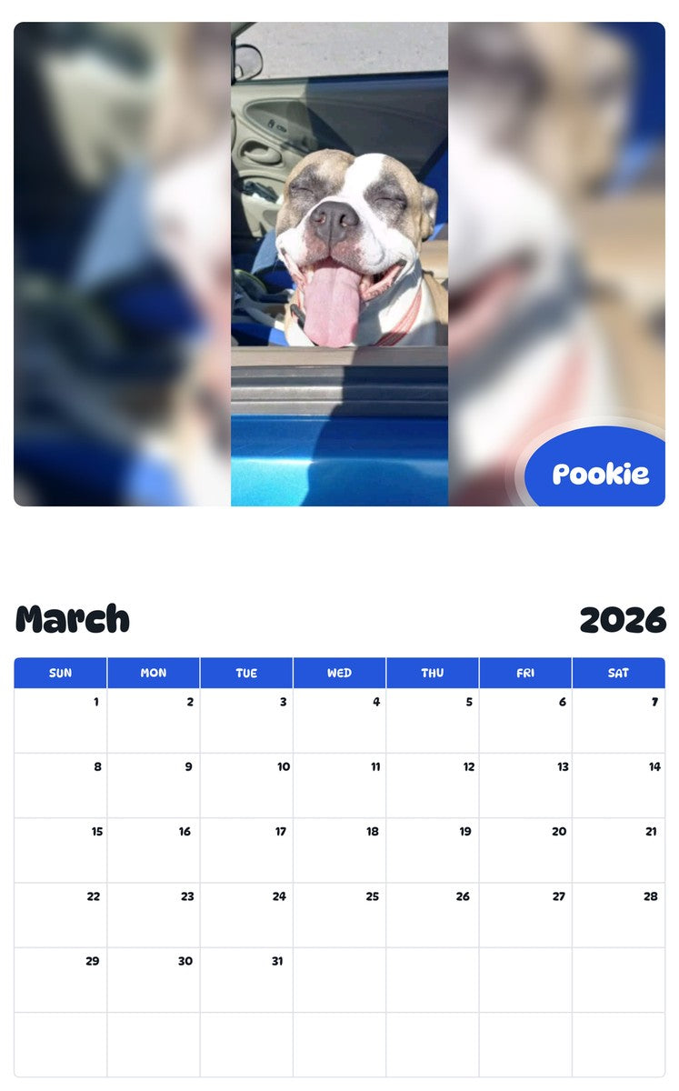 November 2025 - October 2026 Pookie - Pawidols Pet Calendar