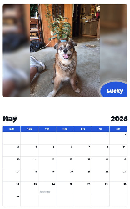 2026 - 2027 Lucky - Pawidols Pet Calendar