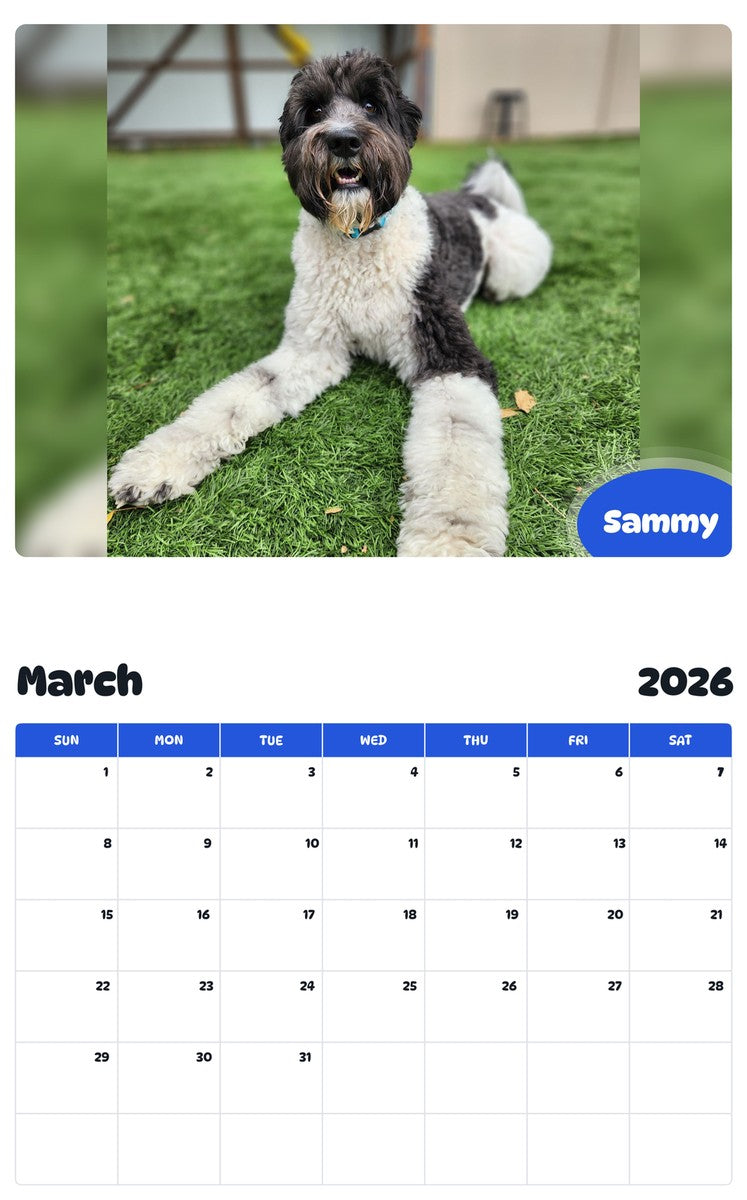 November 2025 - October 2026 Sammy - Pawidols Pet Calendar