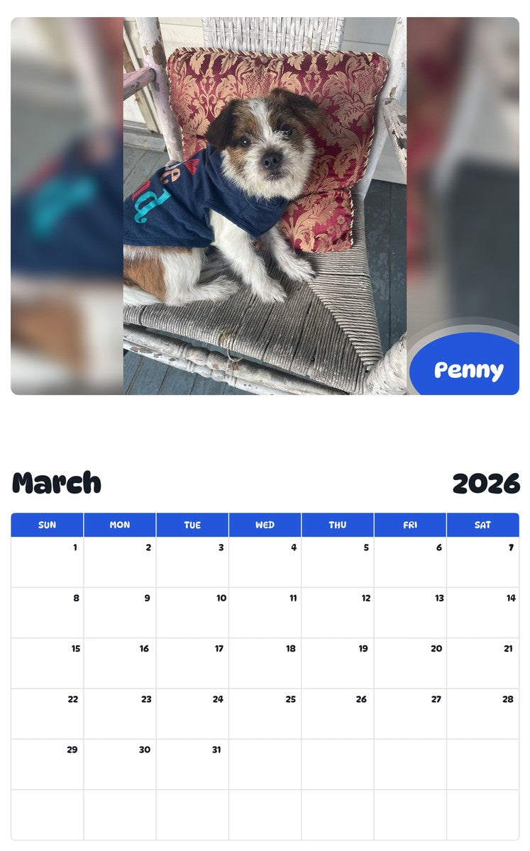 November 2025 - October 2026 Penny - Pawidols Pet Calendar