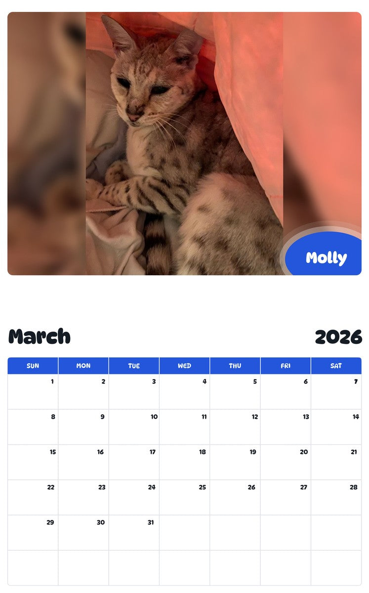 November 2025 - October 2026 Molly - Pawidols Pet Calendar