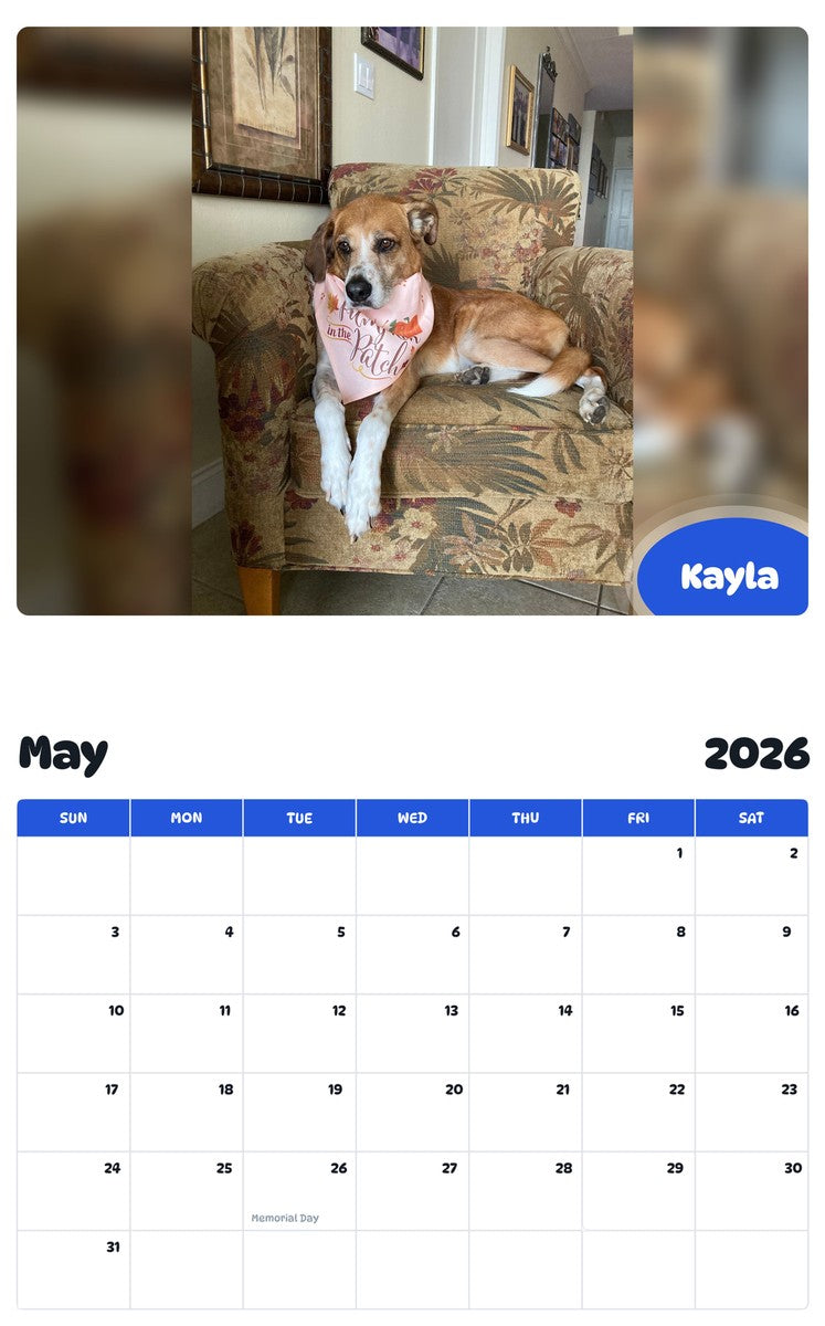 2026 - 2027 Kayla - Pawidols Pet Calendar