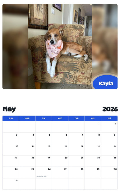 2026 - 2027 Kayla - Pawidols Pet Calendar